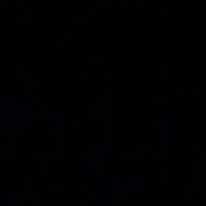 Meet your Posher, Flavio